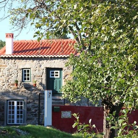 Вилла Casa Do Salgueiral Фундан Экстерьер фото