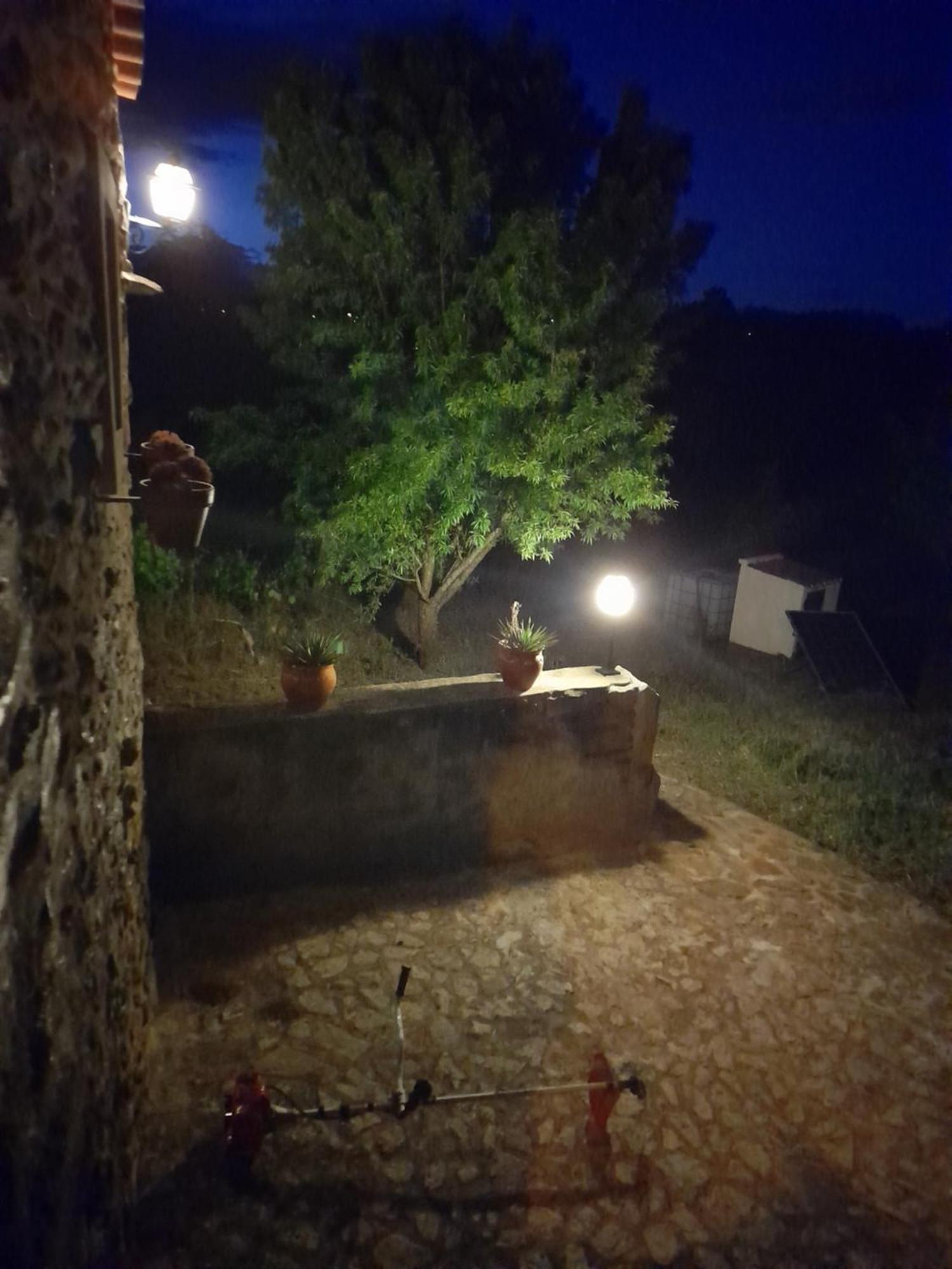 Вилла Casa Do Salgueiral Фундан Номер фото